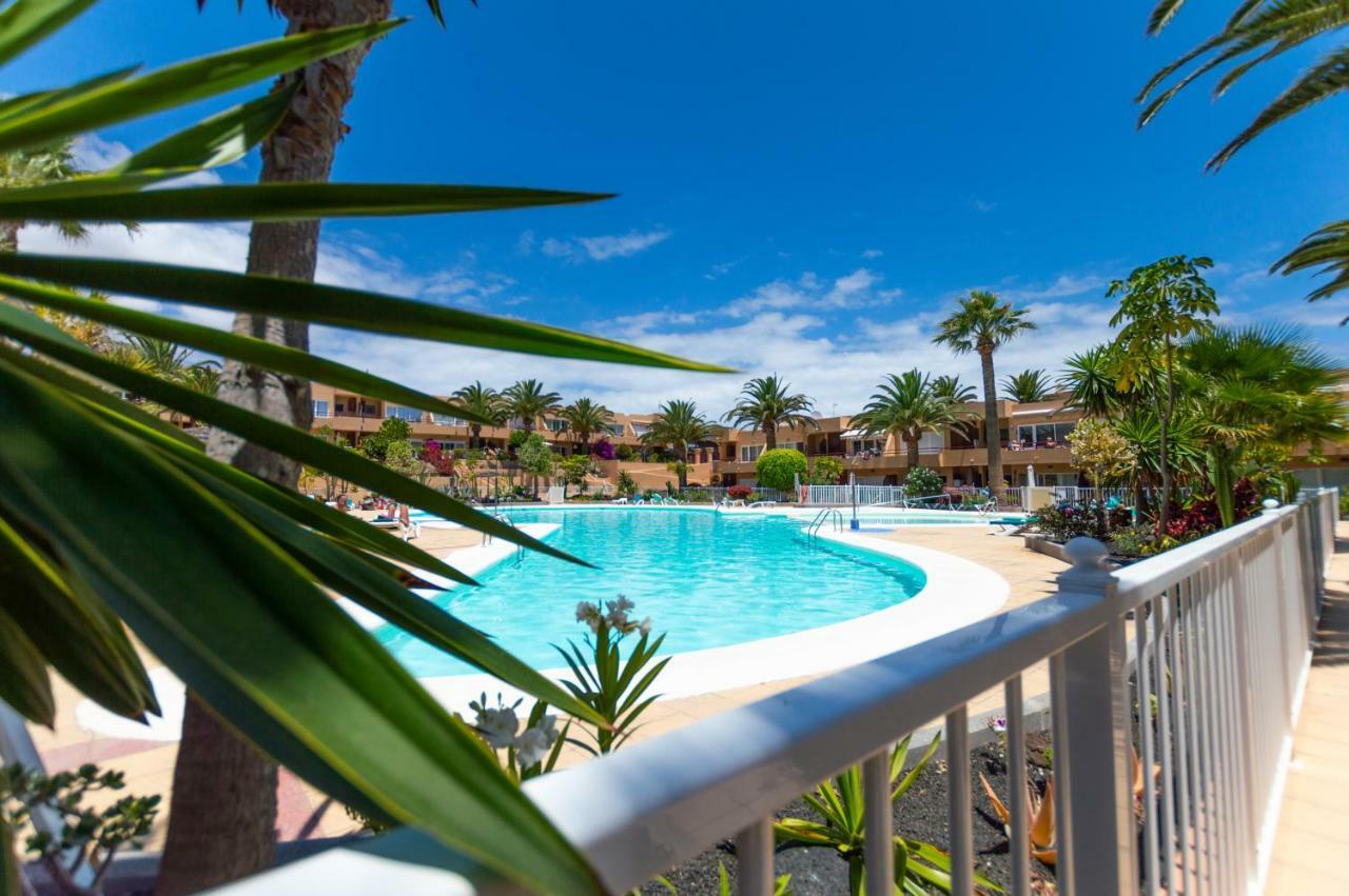 Alicebungalowpoolview-Summer Corralejo Esterno foto