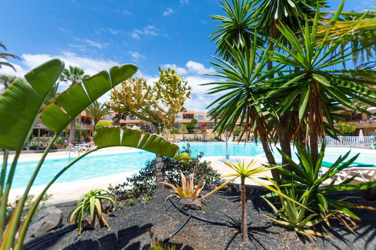 Alicebungalowpoolview-Summer Corralejo Esterno foto