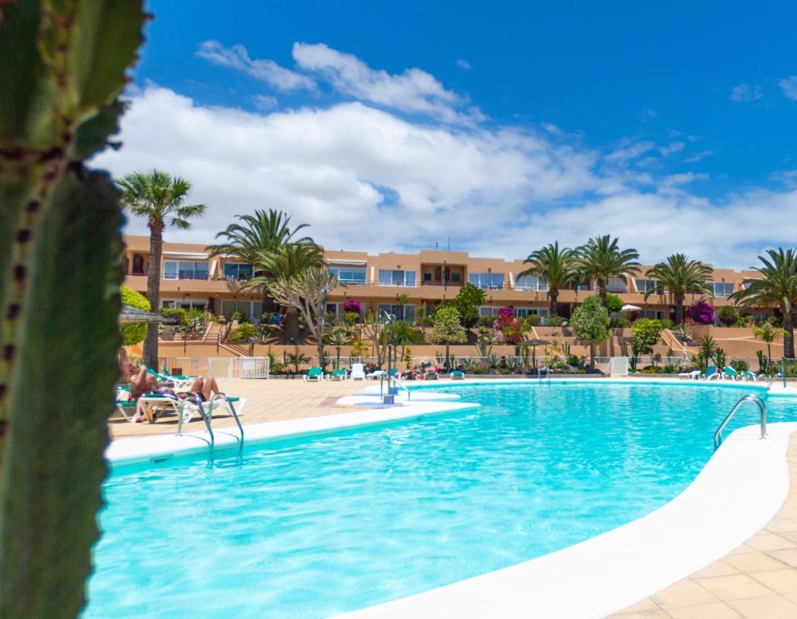 Alicebungalowpoolview-Summer Corralejo Esterno foto